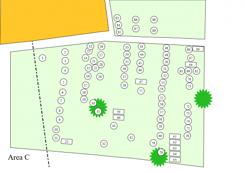 Map of the area C in the churchyard
